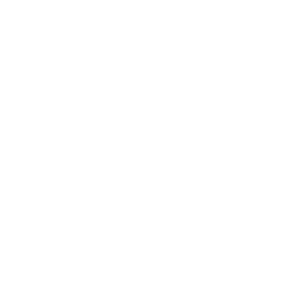 professional-services