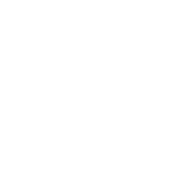 rollout